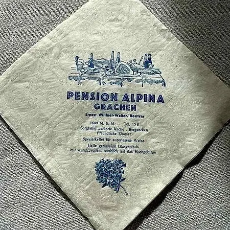 Hotel Alpina