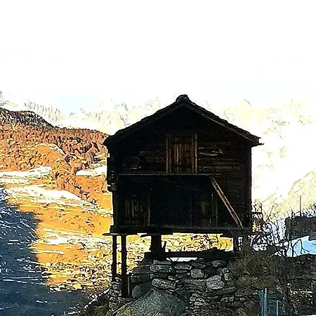 Alpina Hotel Grächen